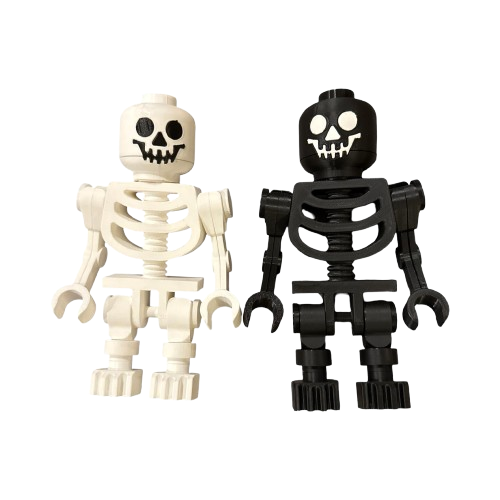 Skeleton Display Figure