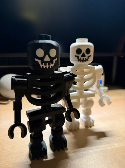 Skeleton Display Figure