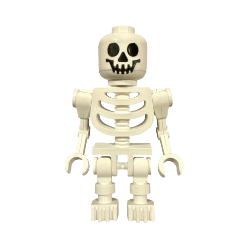 Skeleton Display Figure